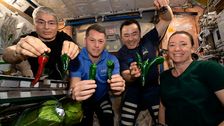 broken-toilet-means-spacex-crew-is-stuck-using-diapers