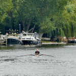 sharks-and-seahorses-are-thriving-in-the-river-thames,-but-climate-change-and-pollution-is-a-threat