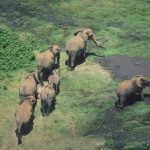 the-five-best-cars-for-road-trips-and-kenya-wildlife-safaris