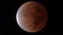 nasa-seeks-ideas-for-a-nuclear-reactor-on-the-moon