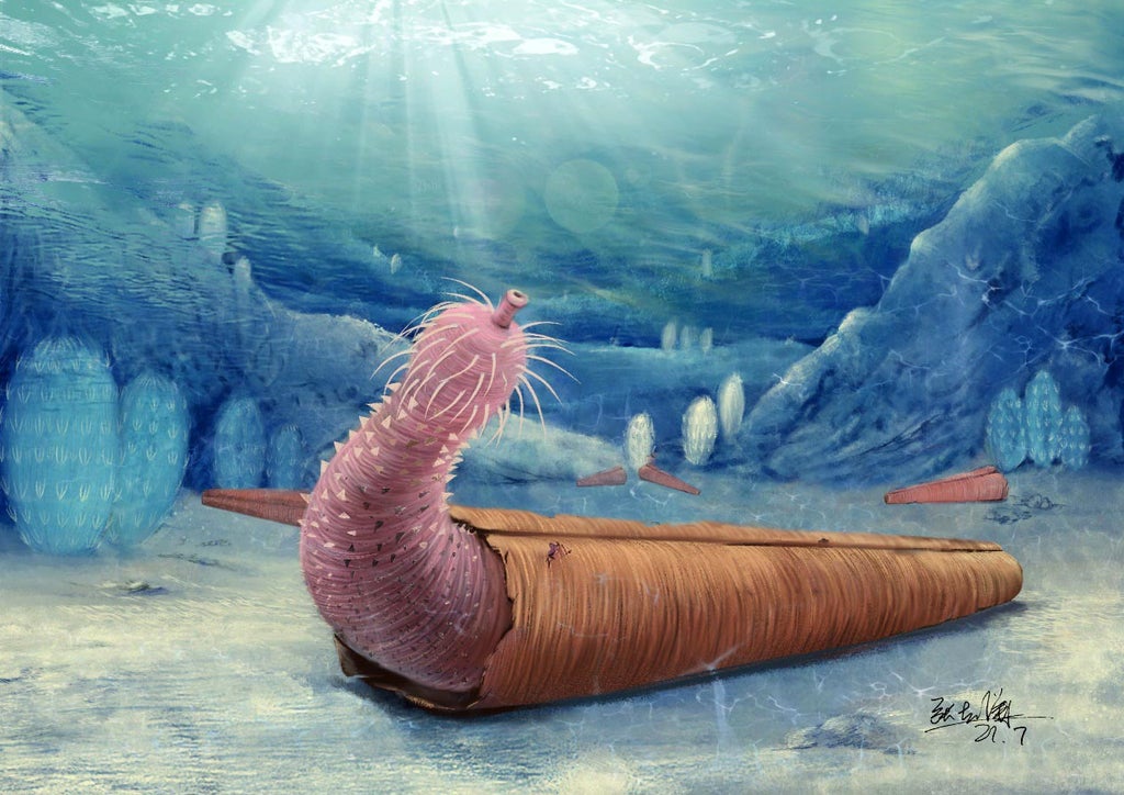 prehistoric-‘penis-worms’-were-the-first-creatures-to-use-discarded-shells-to-avoid-predators,-study-finds