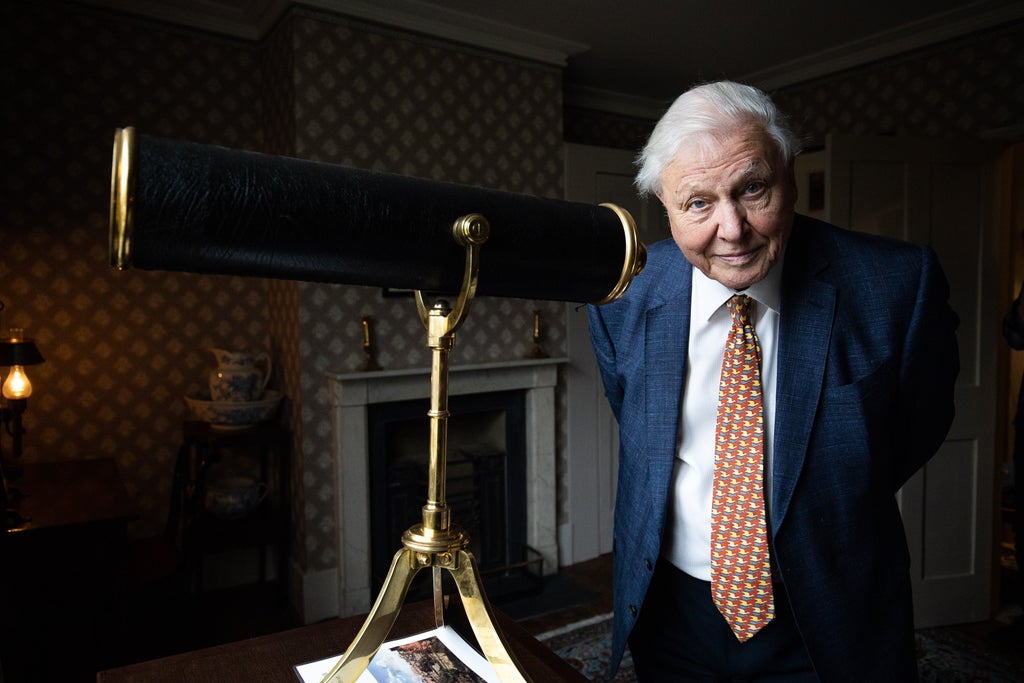sir-david-attenborough-steps-in-personally-to-correct-fake-quote-on-shopping-centre-plaque