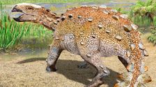 dog-height-dinosaur-species-had-slashing-tail-that-was-anything-but-cute