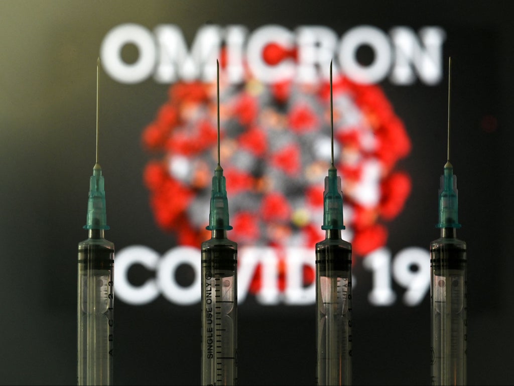 true-threat-posed-by-omicron-unlikely-to-be-known-until-new-year,-warn-government-advisers