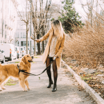a-shocking-29%-of-pets-will-be-‘home-alone’-this-christmas-and-are-‘vulnerable-to-theft’