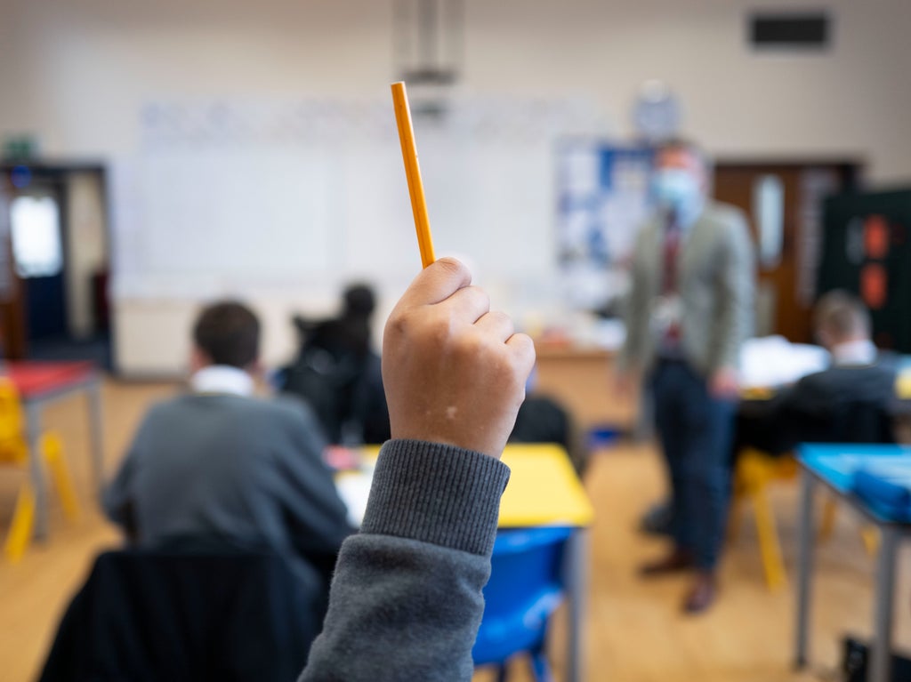 omicron:-prioritise-teachers-for-booster-jabs-to-avoid-mass-school-closures,-scientists-warn