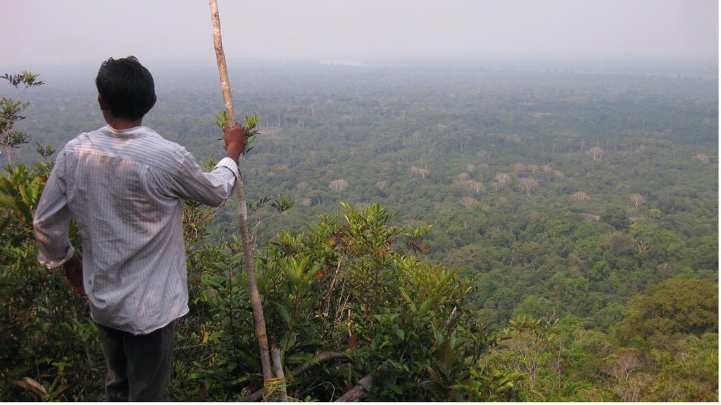 over-1,500-endangered-languages-may-cease-to-exist-by-end-of-this-century,-study-warns