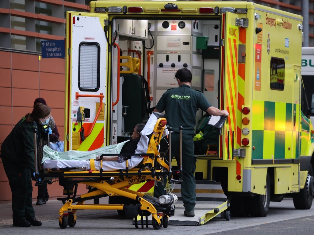 omicron-may-need-to-be-90%-less-severe-to-avoid-large-wave-in-hospital-admissions,-says-sage