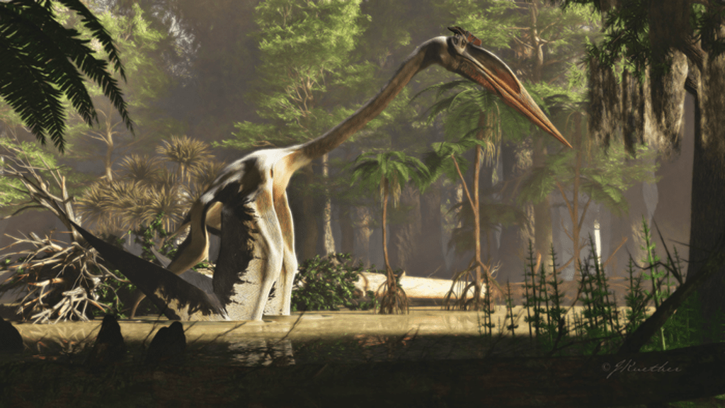 scientists-decode-how-world’s-largest-ever-flying-animal-got-airborne