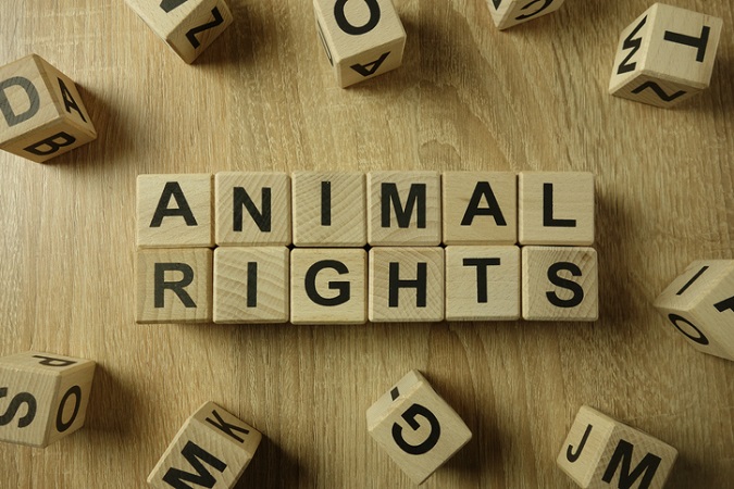 change-is-happening-for-animals-–-and-2022-will-be-a-landmark-year