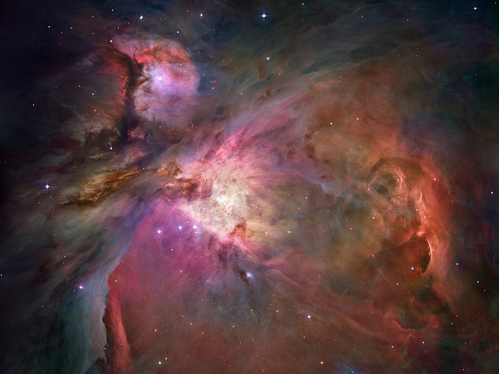 stargazing-in-january:-orion-strides-across-the-night-sky