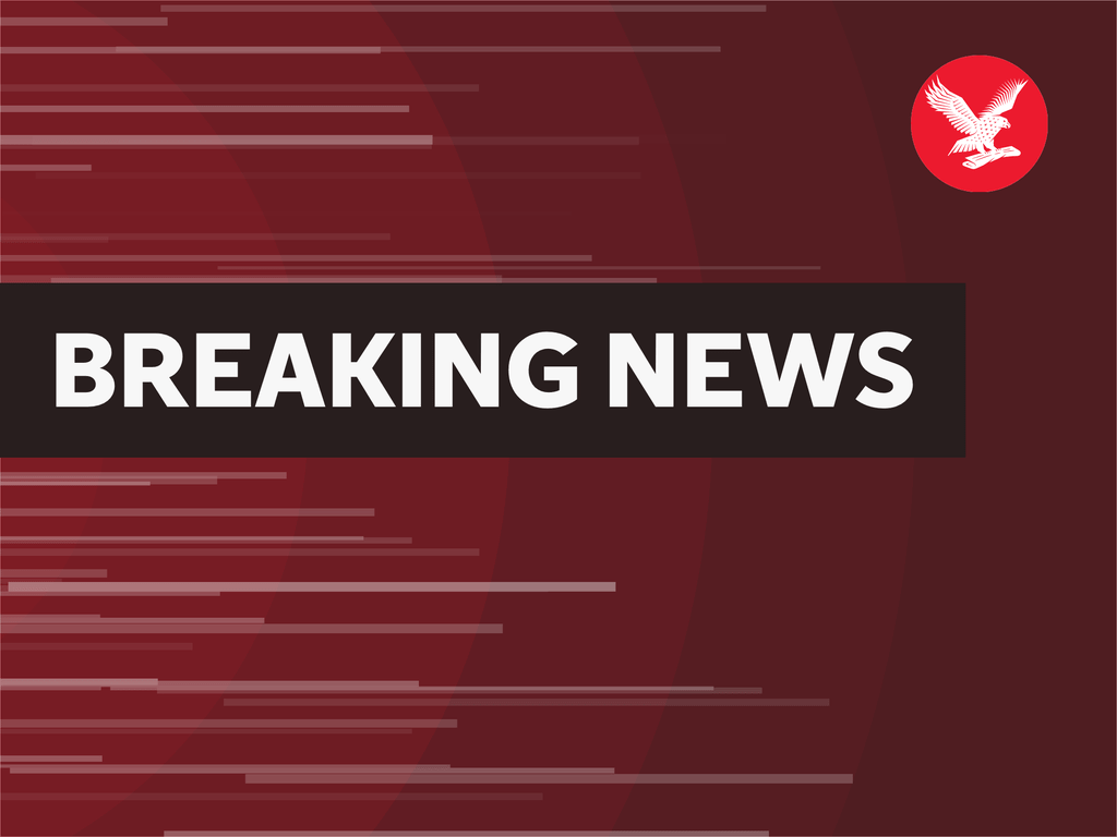 bird-flu:-‘very-rare’-case-detected-in-person-in-southwest-england