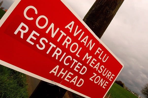 bird-flu-found-in-a-person-in-the-uk-and-the-who-warns-of-new-pandemic-if-there-is-‘human-to-human-transmissibilty’