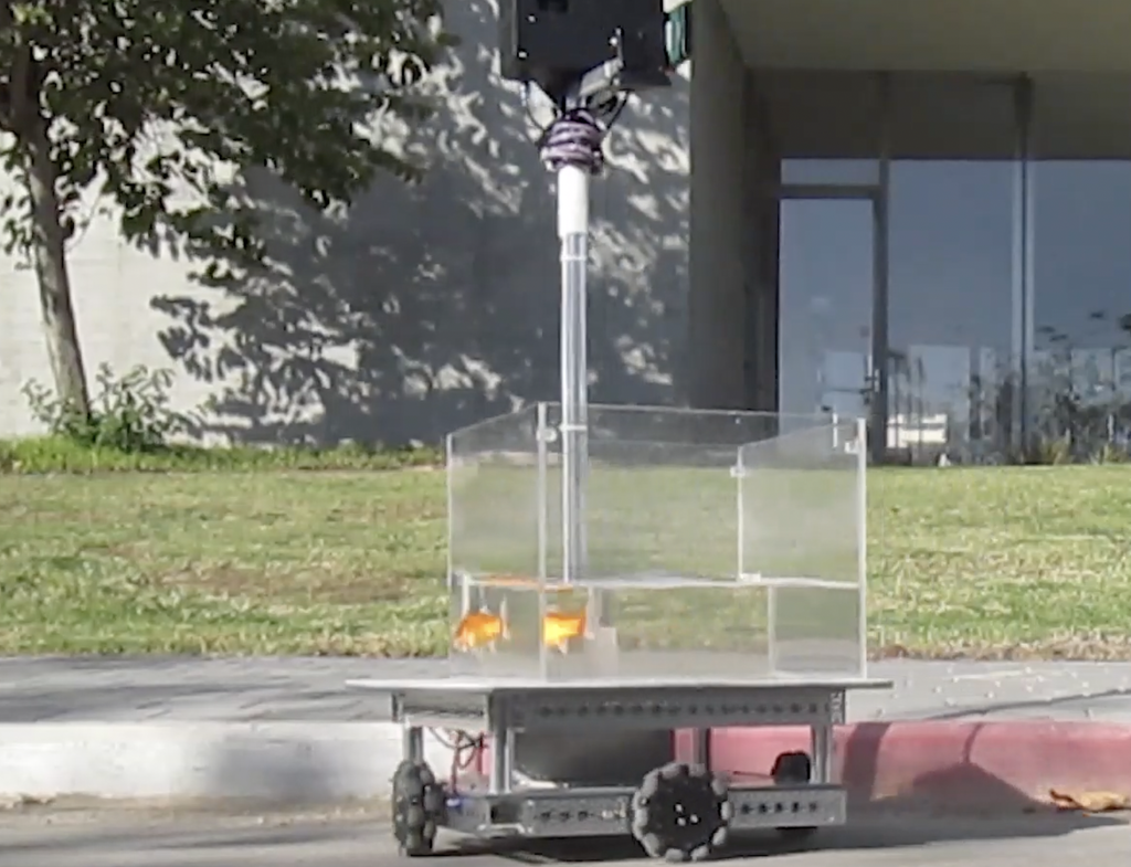 scientists-teach-goldfish-to-drive-robotic-car-and-show-they-can-successfully-navigate-on-land