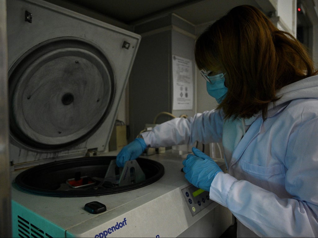 ‘deltacron’:-lab-contamination-likely-responsible-for-delta-and-omicron-hybrid,-scientists-say