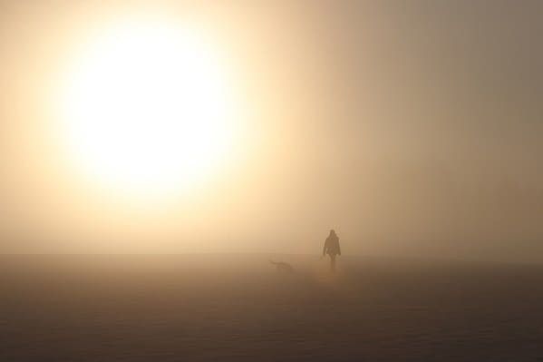 met-office-issues-yellow-warning-as-dense-fog-to-blanket-the-uk-within-hours