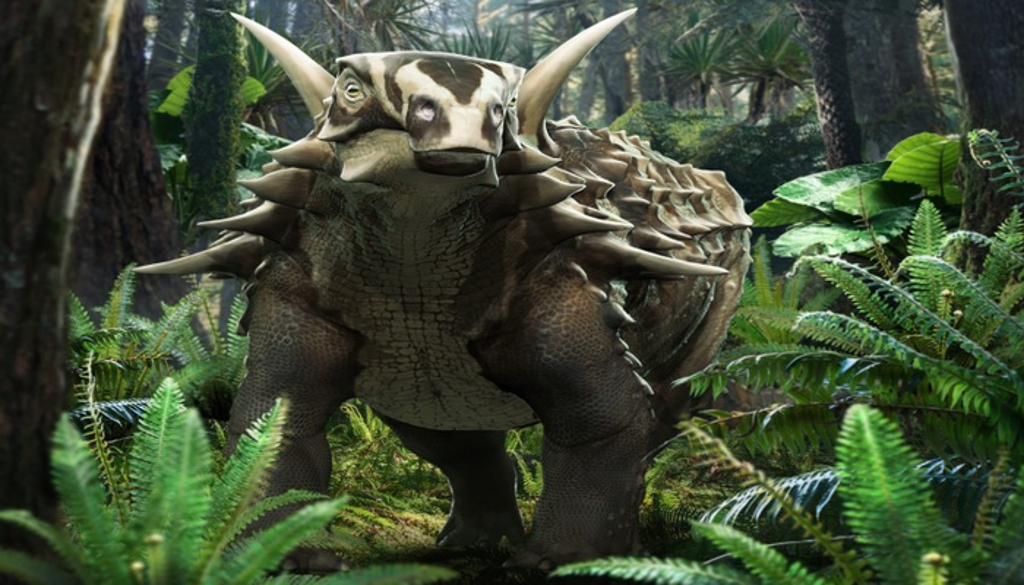 fossil-reveals-spiky-armoured-dinosaur-was-sluggish,-deaf,-and-less-socially-active