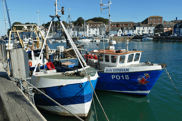 offshore-wind-projects-raise-concerns-for-fishermen