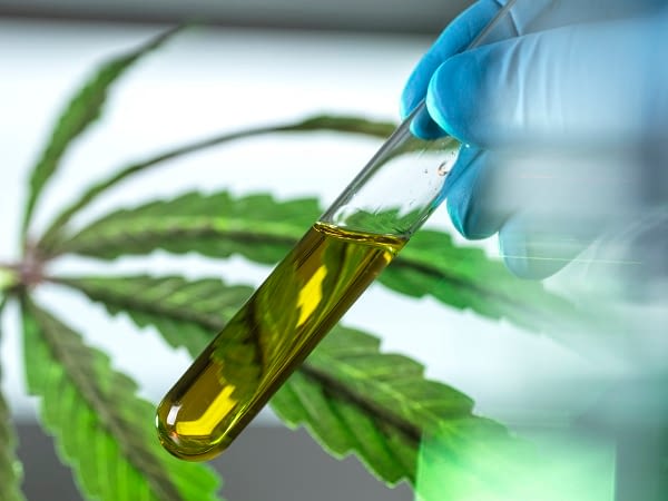 cbd-industry-trends/growth/regulation-2022