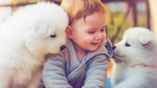 the-psychology-behind-why-you-want-to-squeeze-adorable-babies-and-puppies
