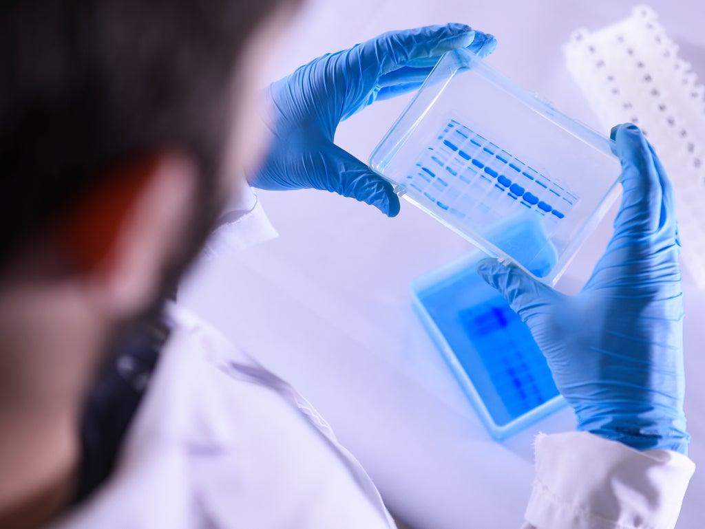 omicron-sub-variant-ba.2-‘under-investigation’-by-uk-health-officials
