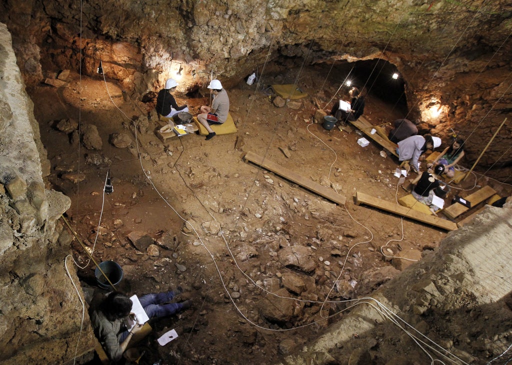 meat-eating-may-not-have-been-a-big-trigger-in-human-evolution-as-previously-thought,-study-says