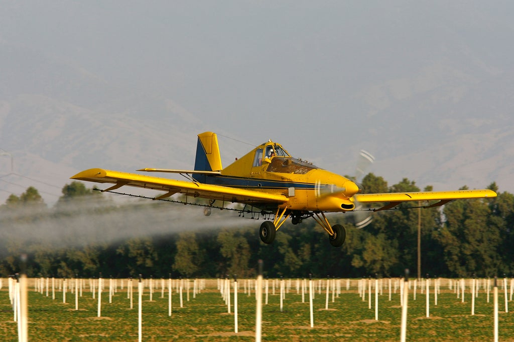 one-in-three-americans-have-high-levels-of-toxic-weed-killing-chemical-in-their-bodies,-new-study-finds