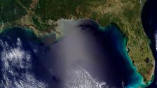 epa-responds-after-huffpost-investigates-gulf-chemical-dump:-nothing-to-see-here