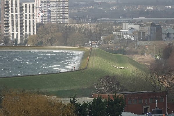 storm-eunice-in-pics:-flying-wheelie-bins,-crazy-plane-landings-and-more