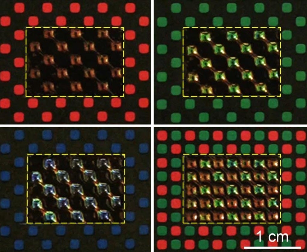 scientists-build-camouflage-tech-using-liquid-crystals-that-work-like-octopus-cells