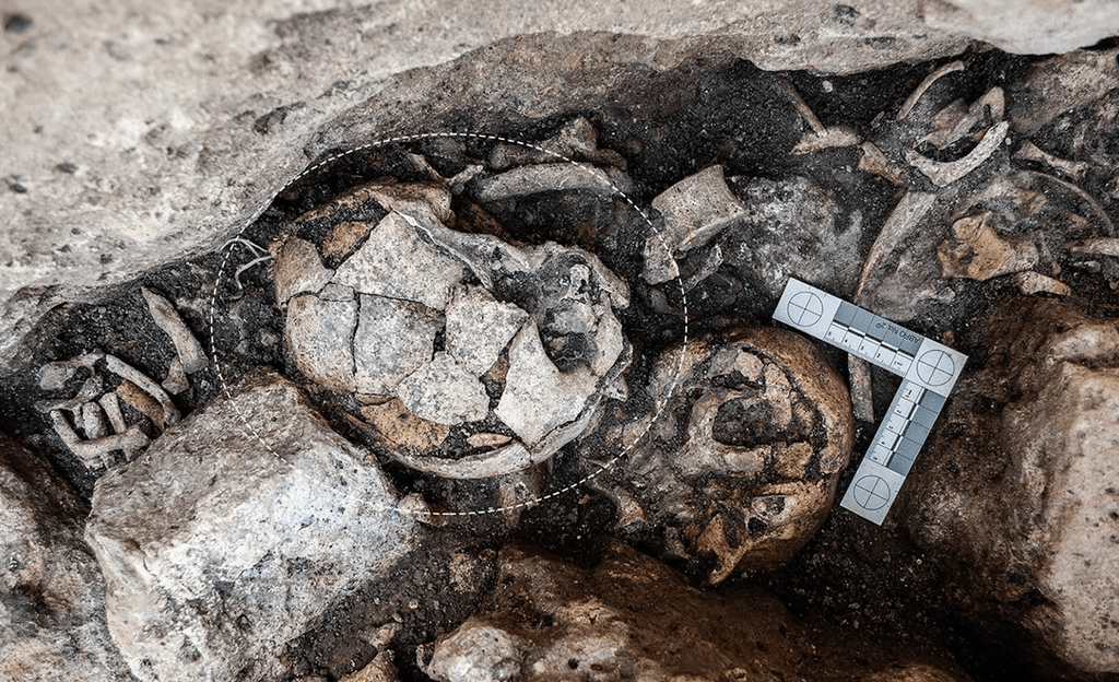 earliest-evidence-of-ear-surgery-found-in-5,300-year-old-skull-by-archaeologists