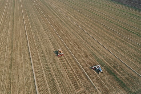 ukraine-suspends-all-exports-‘of-corn,-oats,-buckwheat,-sugar-and-salt’-which-will-affect-global-‘food-security’