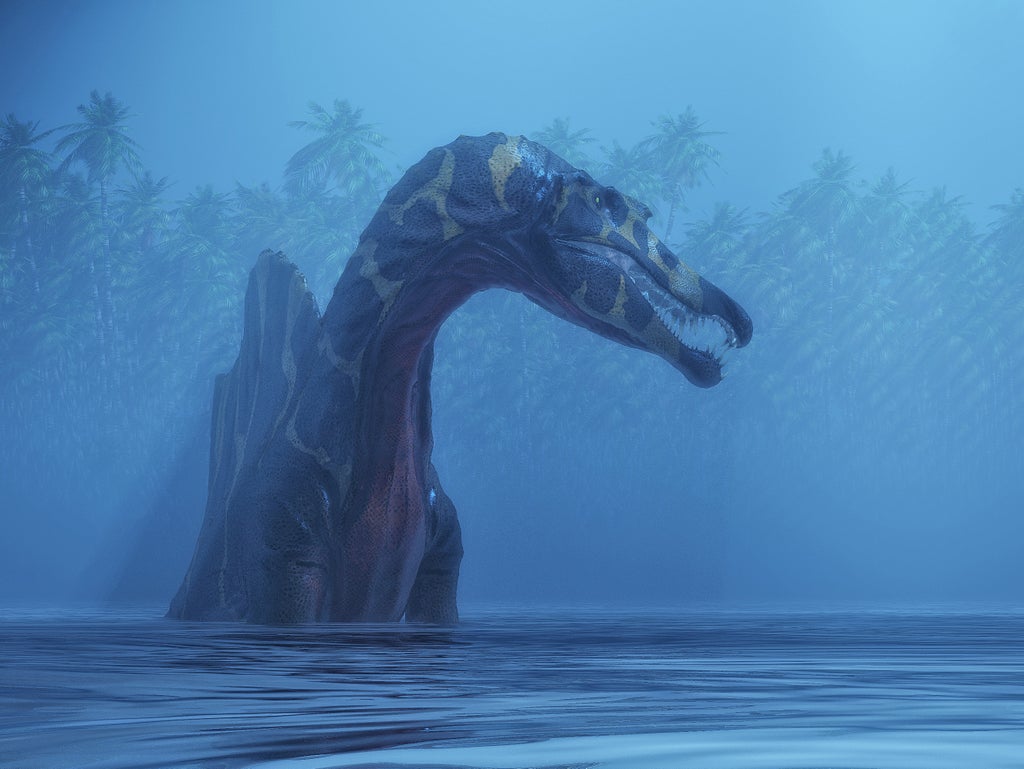 spinosaurus:-largest-prehistoric-predator-was-‘water-loving’-dinosaur-which-swam-to-hunt-fish