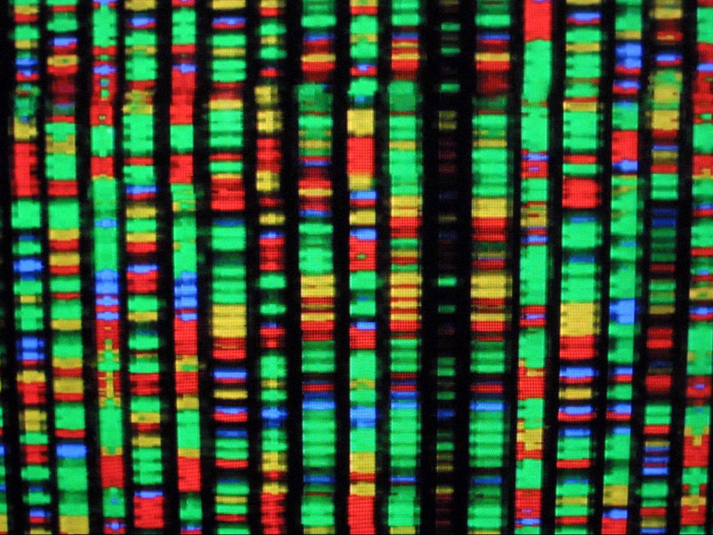 new-secrets-of-human-genome-unearthed-after-missing-segments-finally-sequenced