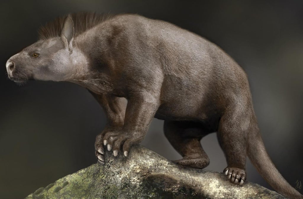 mammals-bulking-up-instead-of-growing-bigger-brains-helped-them-survive-post-dinosaur-extinction,-study-says