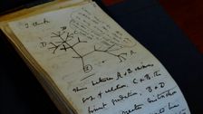 charles-darwin’s-missing-notebooks-are-returned-in-mysterious-circumstances
