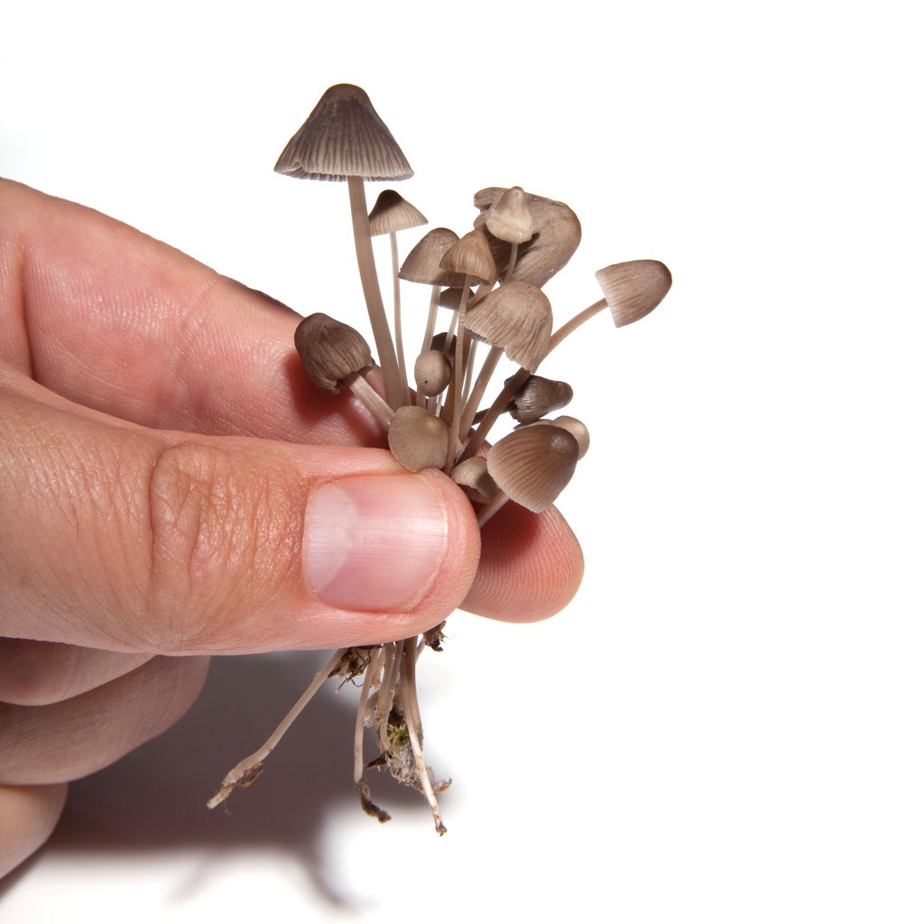 magic-mushroom-compound-‘opens-up-depressed-people’s-brains’,-study-suggests