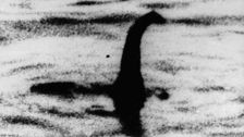 ecology-professor-theorizes-loch-ness-monster-may-just-be-whale-penis