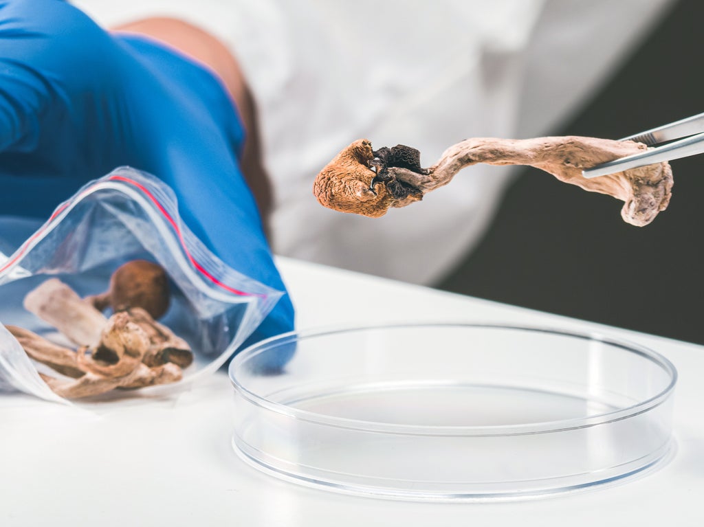 could-psilocybin-mushrooms-help-with-depression?