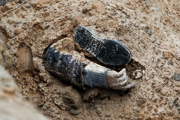russian-forces-are-hiding-war-crimes-as-they-‘truck-dead-bodies-from-mariupol’-with-‘more-than-20,000-civilians-killed’