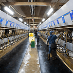 uk-is-in-crisis -as-we-are-‘sleepwalking-into-food-shortages-and-that’s-a-fact’-as-farmers-‘turn-down-production’