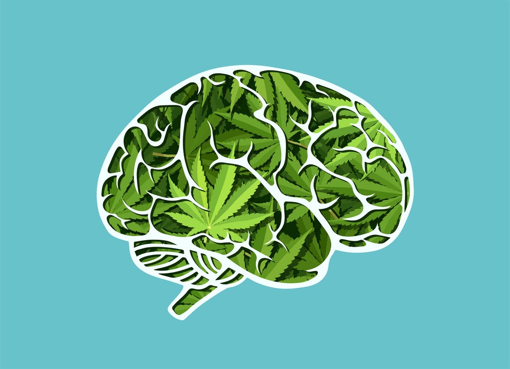 how-does-cannabis-really-affect-our-cognition-and-psychology?