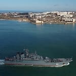 russia-stations-highly-trained-‘spy-dolphins’-to-‘protect-black-sea-naval-base’-after-they-‘defected’-to-join-putin’s-regime