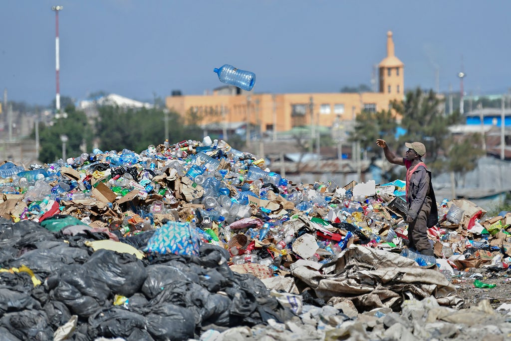 scientists-create-enzyme-that-breaks-down-plastic-in-hours-instead-of-decades
