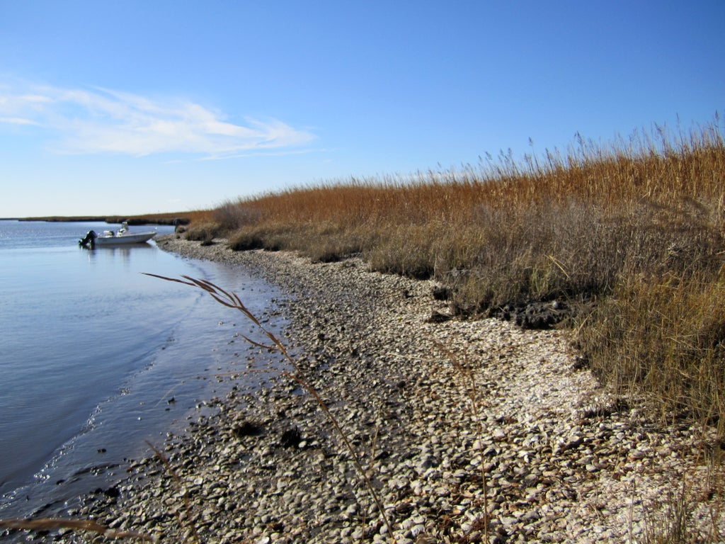 indigenous-peoples-‘have-globally-harvested-billions-of-oysters-sustainably’