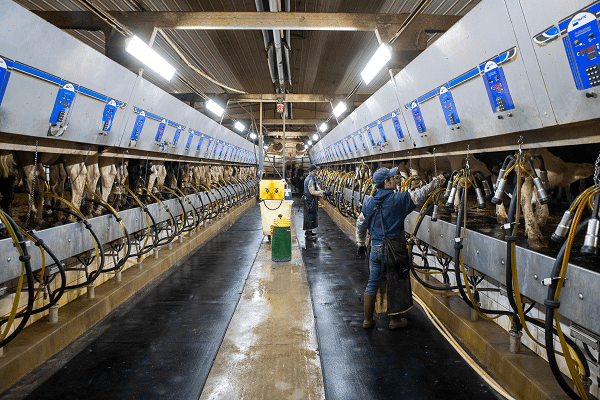compassion-submits-a-petition-urging-a-global-reduction-in-meat-and-dairy-to-help-reduce-greenhouse-gasses