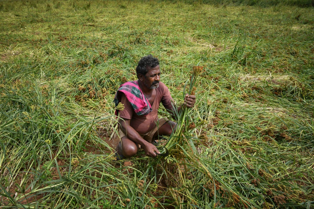 water-scarcity-could-worsen-in-over-80-per-cent-of-world’s-croplands-by-2050,-study-warns
