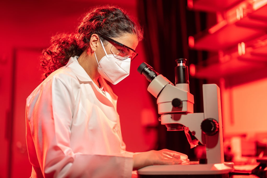 vision-scientists-revive-light-sensing-cells-in-organ-donor-eyes