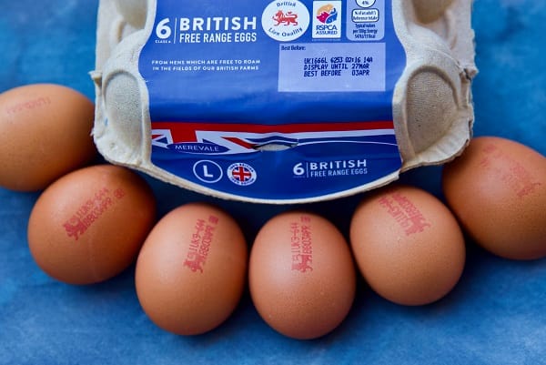 ukraine-war-is-pushing-the-price-of-chicken-feed-to-‘record-levels’-creating-soaring-egg-prices-leaving-many-farmers-forced-to-quit