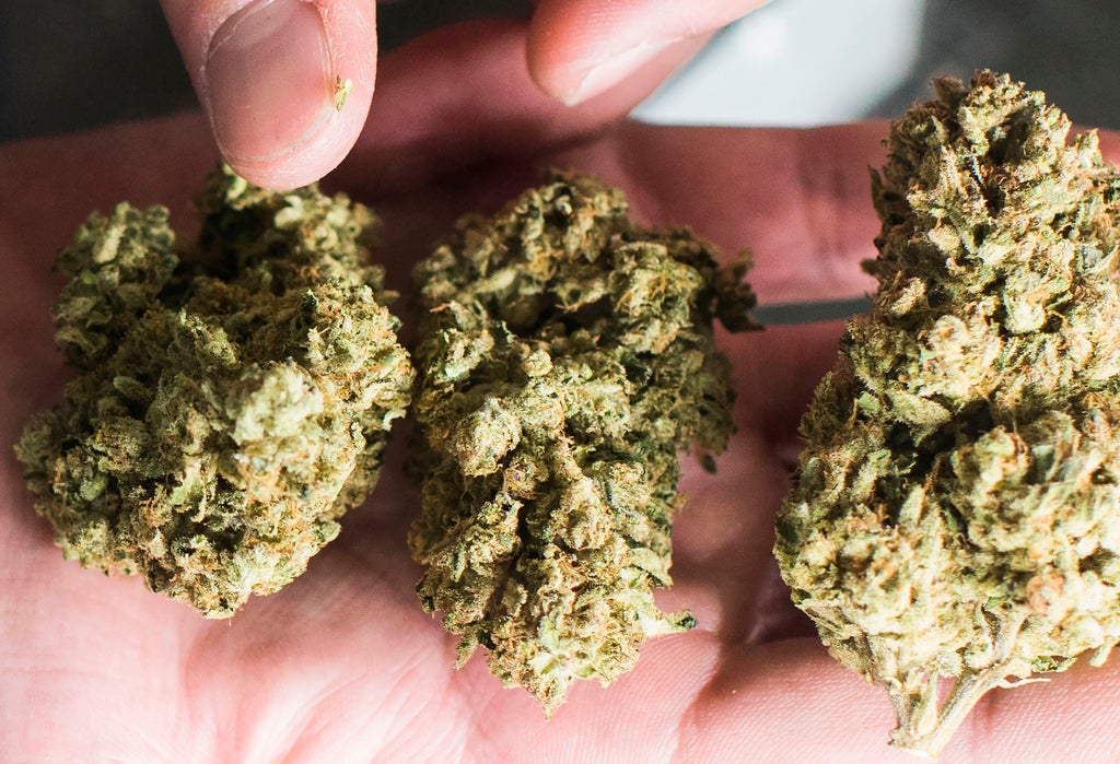 weed-legalisation-linked-to-drop-in-alcohol,-tobacco-consumption,-study-says